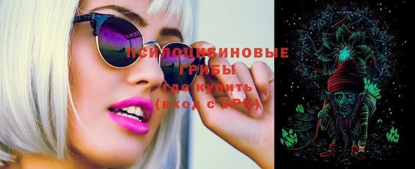 стаф Аркадак