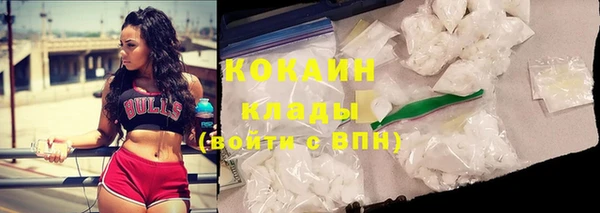 стаф Аркадак