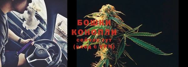 стаф Аркадак