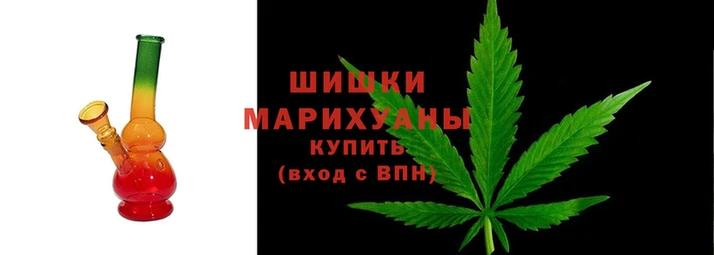 стаф Аркадак