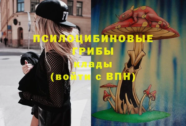 тгк Арсеньев