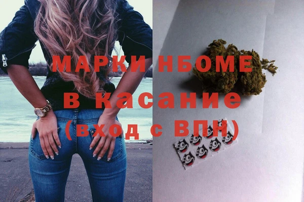 стаф Аркадак