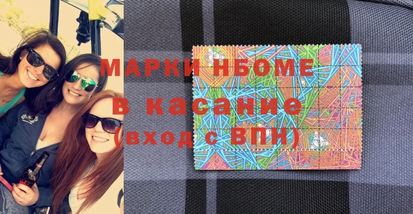 стаф Аркадак