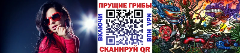 Галлюциногенные грибы MAGIC MUSHROOMS  Михайловск 